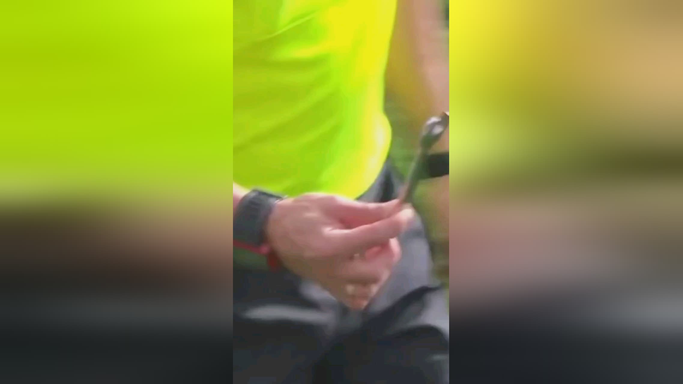 为他们继